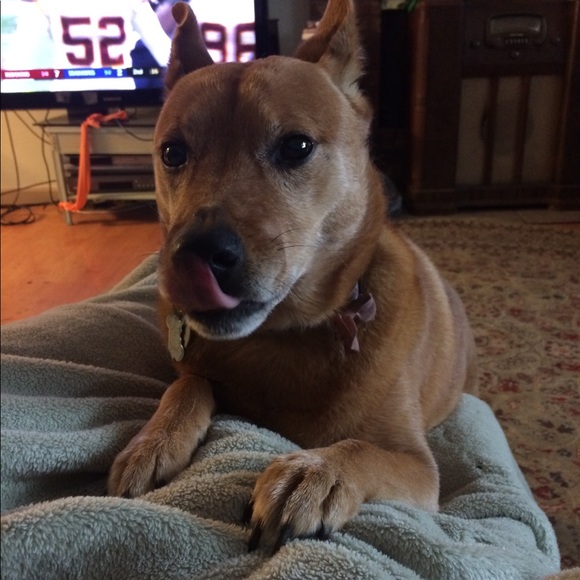 Meet your Posher, Kiersten - Picture 6 of 11